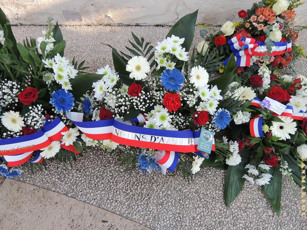 2024 12 05 TOULON HOMMAGE AUX MORTS POUR LA FRANCE EN AFN  (4).jpg